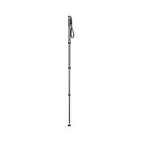 GITZO GM2542 CARBON MONOPOD SER.2 4S